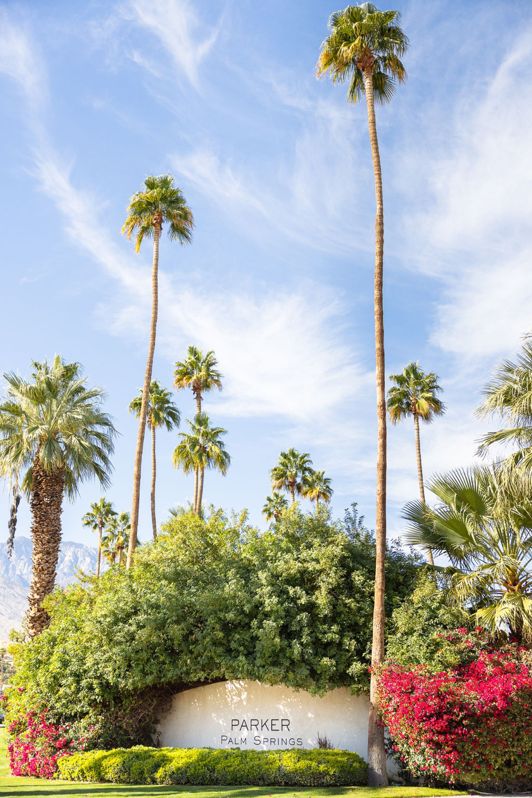 Details of a the parker palm springs wedding venue front entrance sign covered in plants and flowers