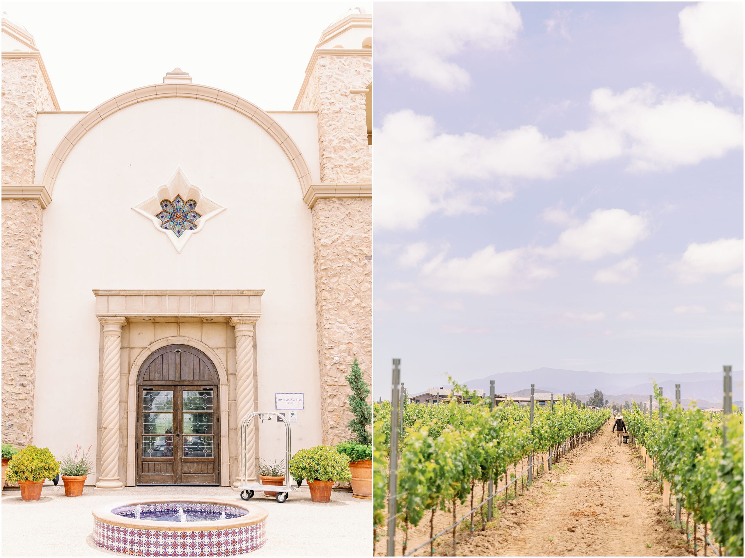 Details of the ponte winery wedding venue interior patio garden next to a worker walking in the vineyard