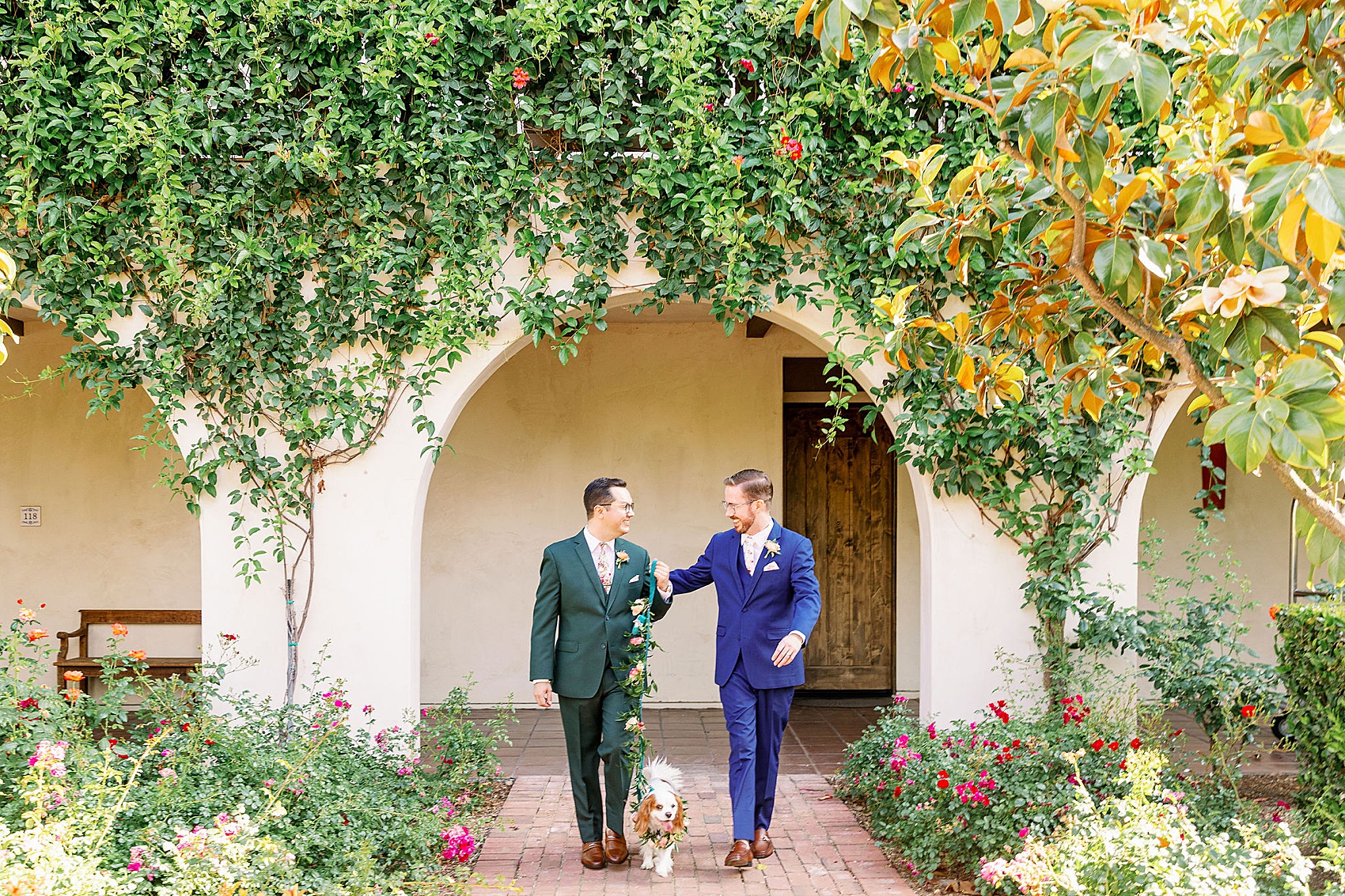 Grooms walk through the garden with heir small white dog in blue and green suits during their ponte winery wedding