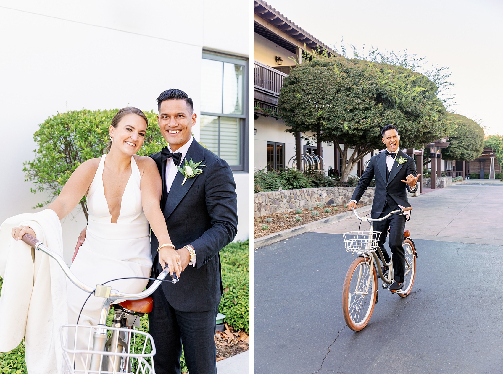 A bride and groom ride beach cruiser bicycles around a vineyard