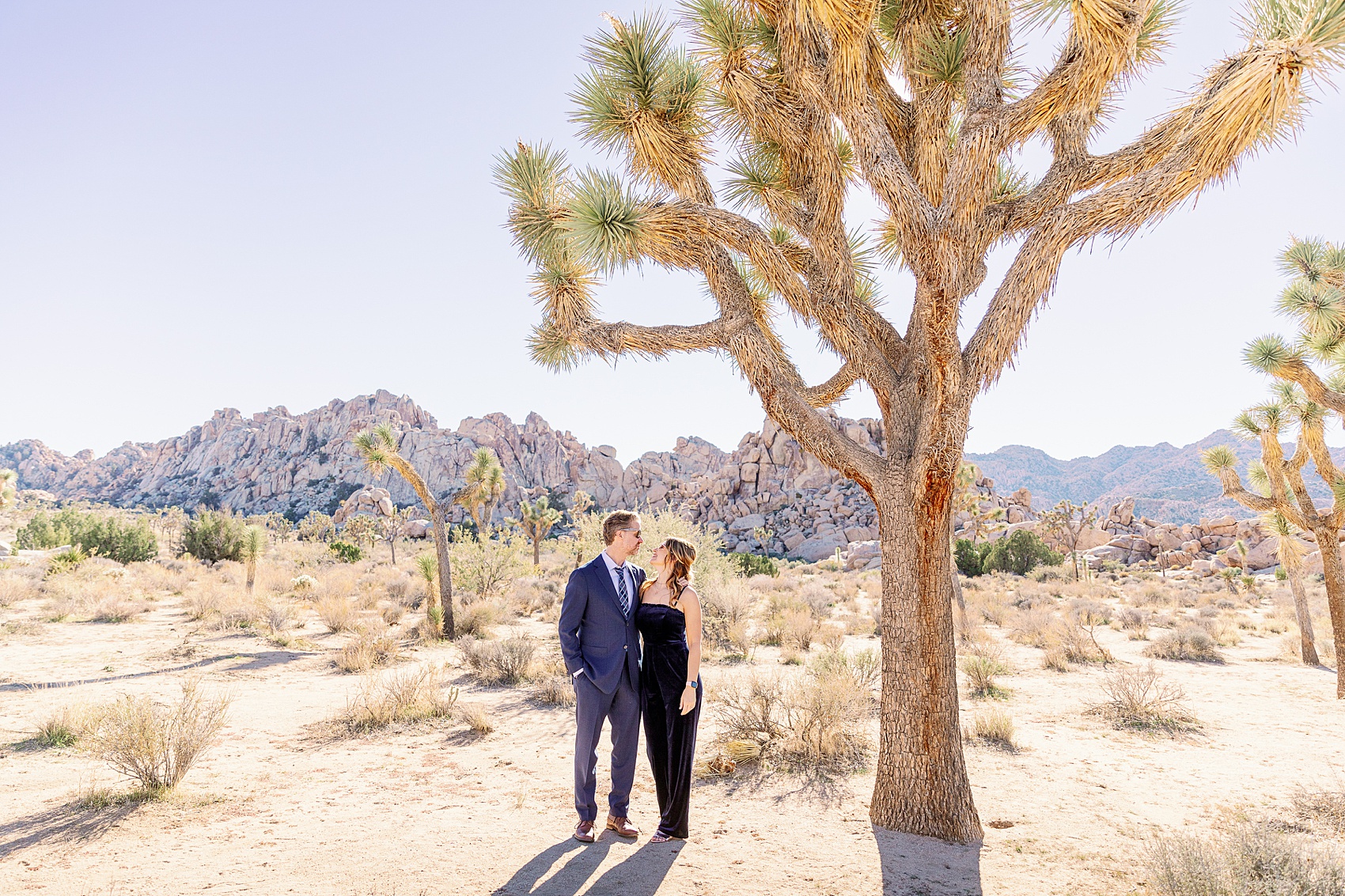 A happy man in a blue suit smiles at his fiancee while standing under a joshua tree during their engagement photos