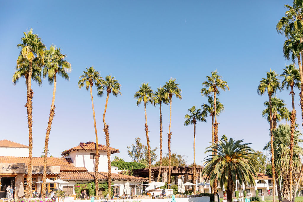 Details of a poolside palm springs wedding venue with tall palm trees