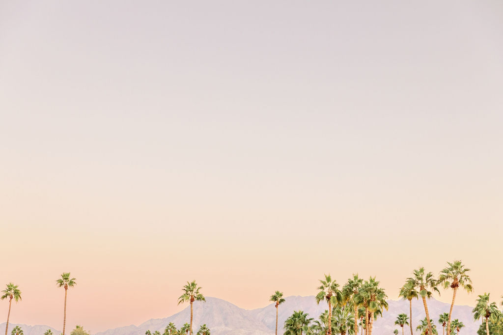 A palm springs sunset over the palm trees and mountains